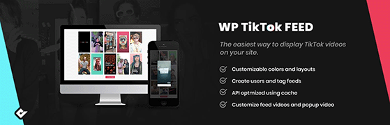 QuadLayers WordPress TikTok feed plugin