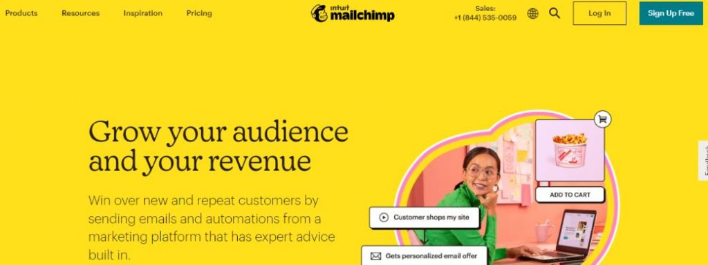 Mail Chimp bir e-posta bülten yazılımı