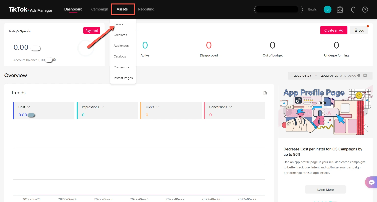 tableau de bord du gestionnaire de publicités tiktok