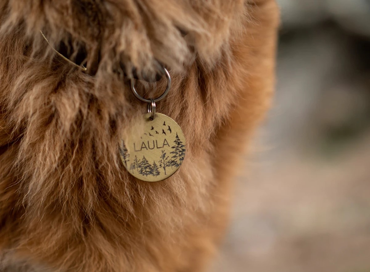 pet id tag of print on demand products