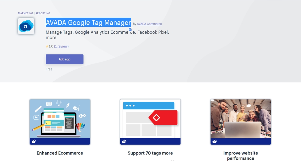 عرض برنامج AVADA Google Tag Manager