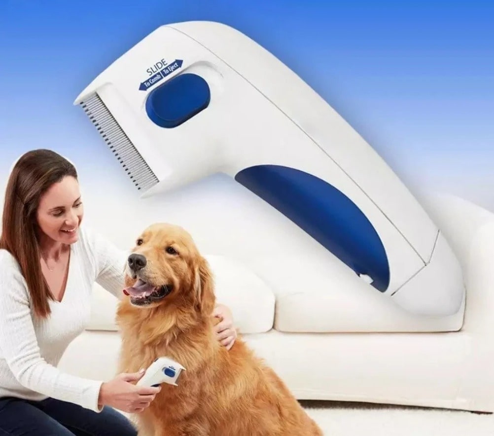 yang-terbaik-tren-dropshipping-pet-item-adalah-Electric-Flea-Comb-for-Puppies