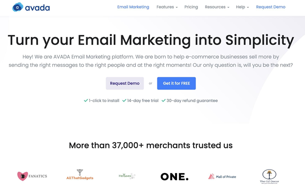 Anteprima della home page di AVADA Email Marketing