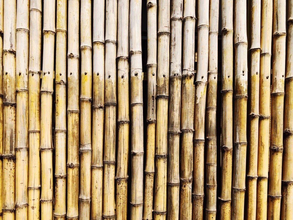 Bamboo-Stake-este-în tendințe-produse-de-vară-de-vânzare