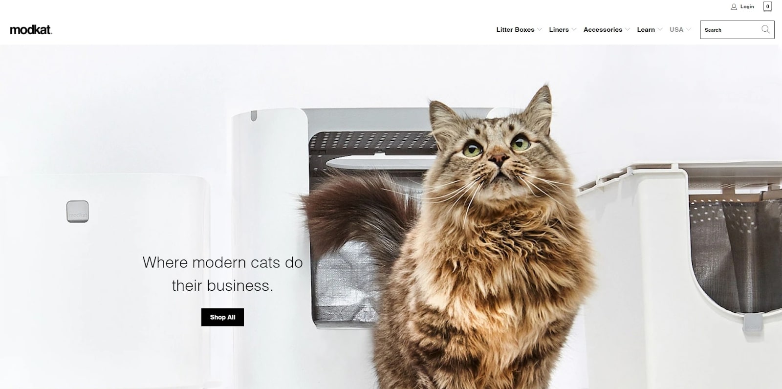 How-to-build-and-start-a-perfect-Shopify-pets-store؟