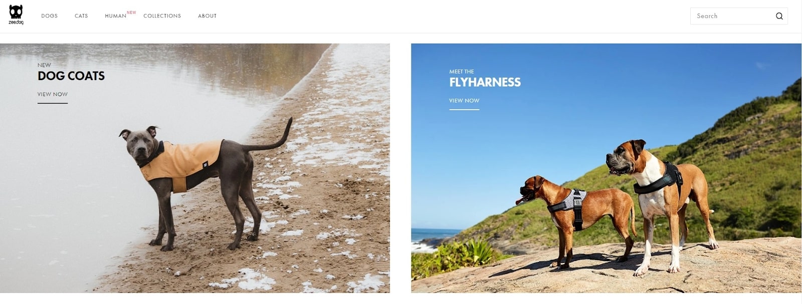 Ce-este-un-magazin-de-animale-de-animale-Shopify