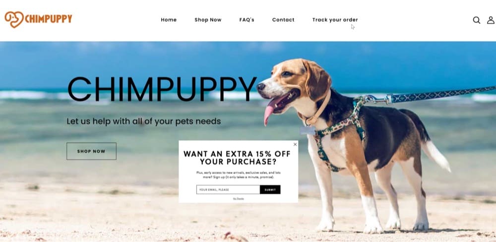 Promuovi coupon pop-up a tempo limitato sulla tua home page con Convert's Deploy