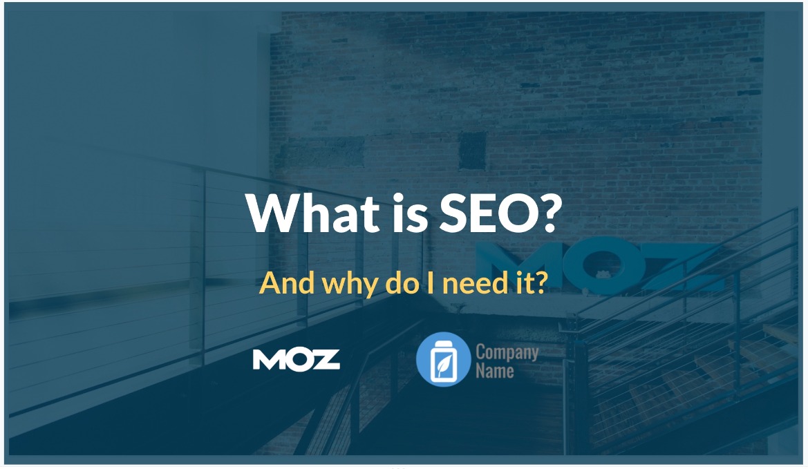 moz 客户教育 seo 报告模板