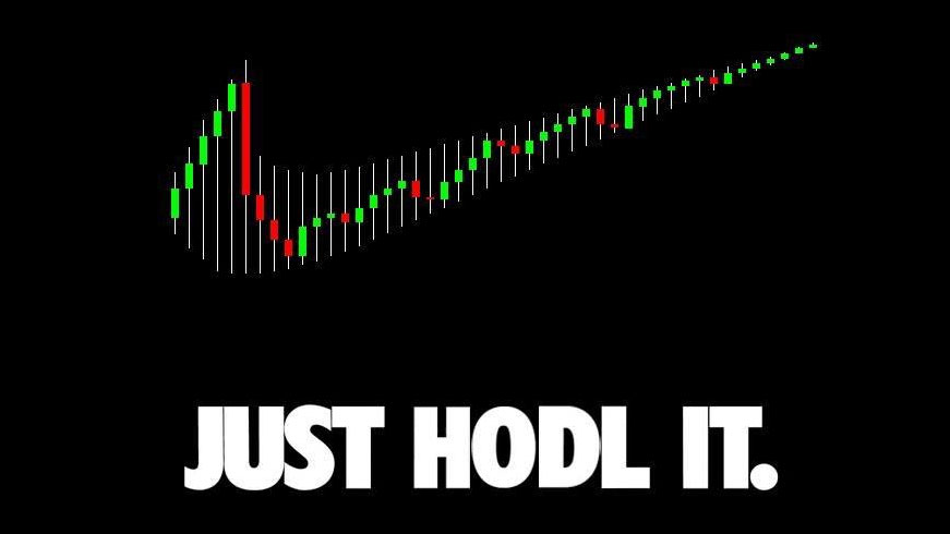 Cryptocurrency hodl meme 이미지