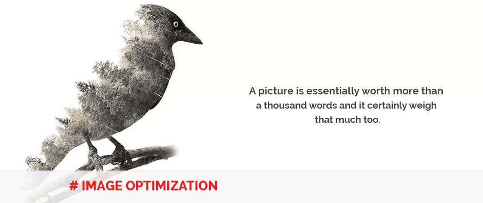 image seo, image optimization