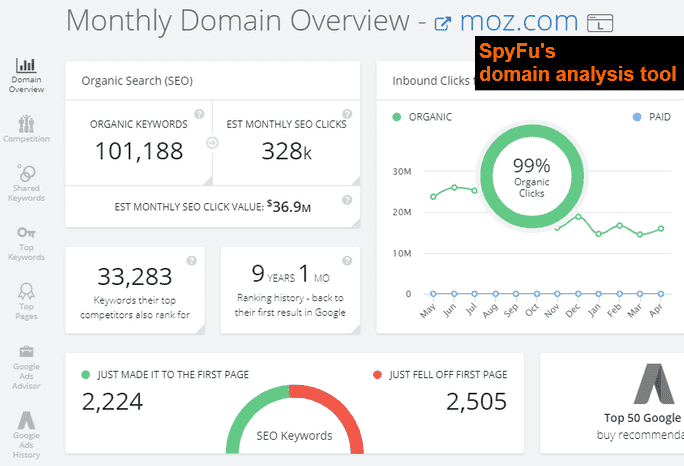 SpyFu's SEO Domain Analysis Tool