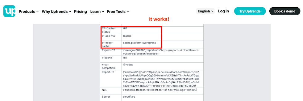 웹사이트 헤더 확인 Cloudflare