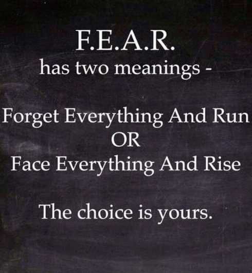 F.E.A.R'ın İki Anlamı Vardır - Her Şeyi Unut Ve Koş Ya da Her Şeyle Yüzleş ve Yüksel. Seçim senin.