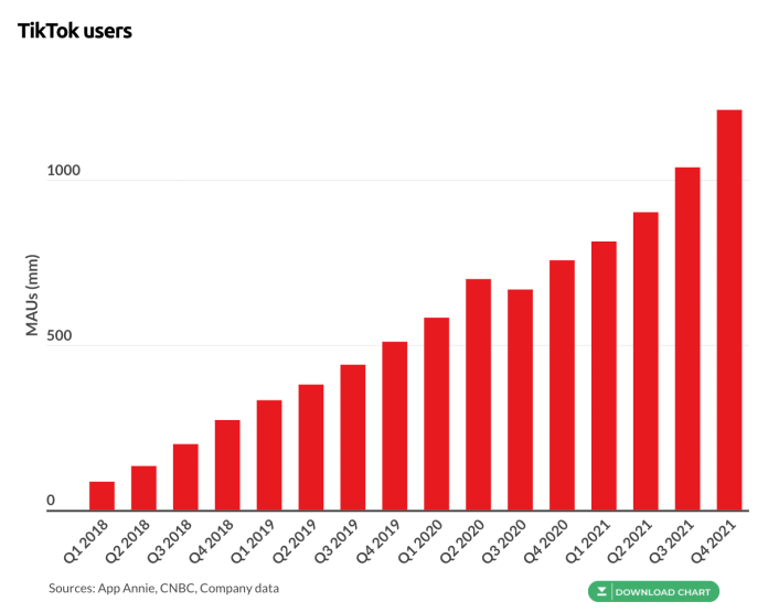 TikTok Stats