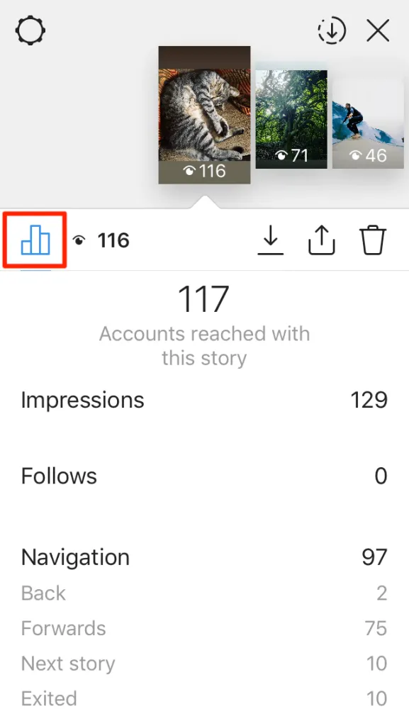 Instagram Insights