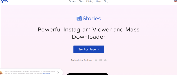 instagram story viewer