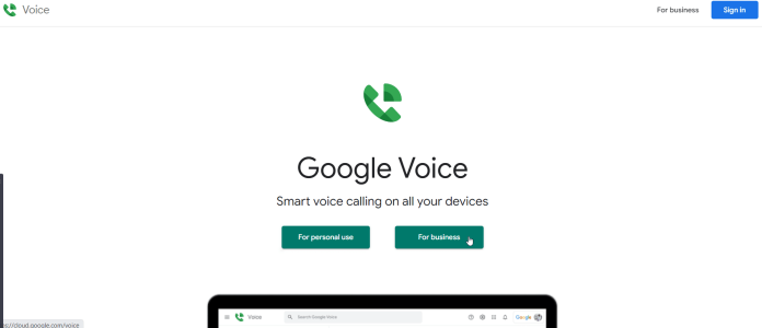 google voice