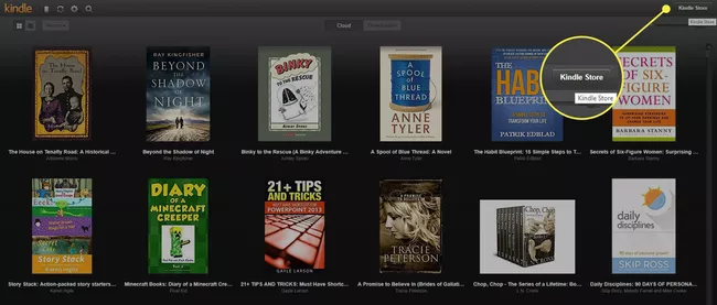 kindle cloud reader