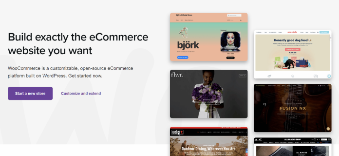 ecommerce platforms