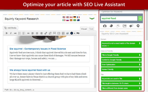 SEO SQUIRRLY WordPress SEO 플러그인