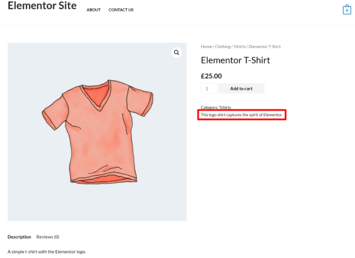 woocommerce-custom-fields-tutorial-10-custom-field-functionsphp