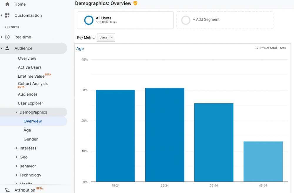 نظرة عامة على المعلومات السكانية في علامة التبويب Google Analytics