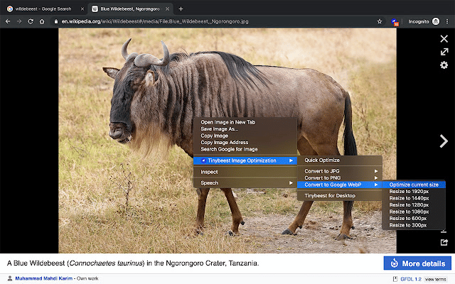 ソーシャル メディア マネージャーの Chrome 拡張機能:innen – Tinybeest