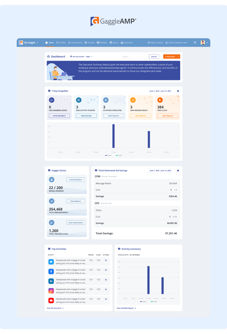 Strategia organicznych mediów społecznościowych - Dashboard