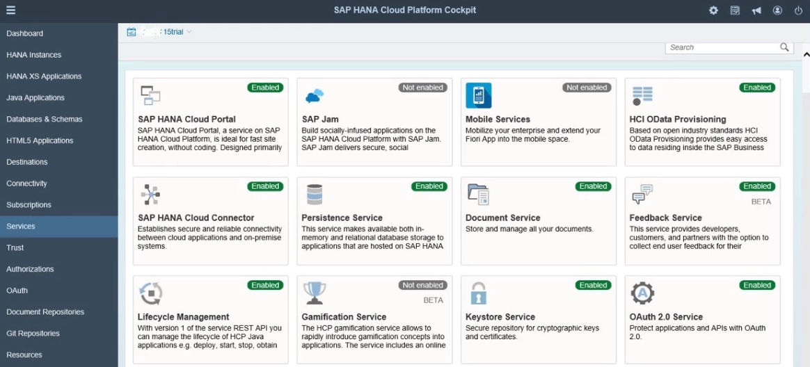 поставщики маркетинга SAP HANA Cloud