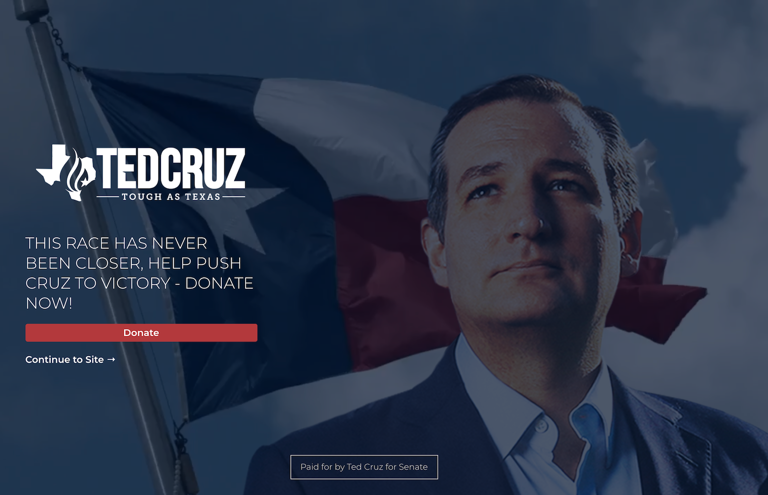 Wahlpost-Click-Landingpage Ted Cruz