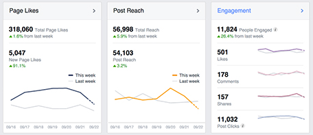 Panoramica di Facebook Insights