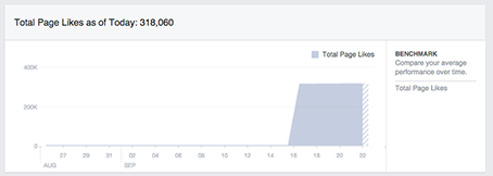 Mi piace sulla pagina Facebook Insights