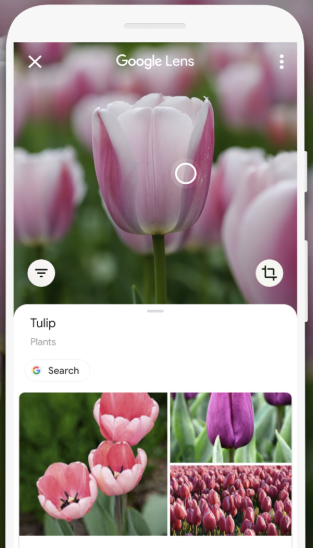 маркетинговые тренды Google Lens