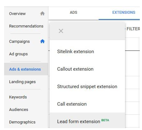 Google 附加潜在客户表单选择