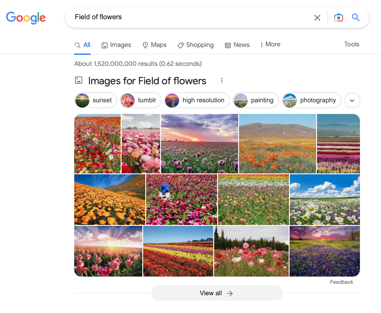 ภาพหน้าจอสำหรับคำค้นหา 'ทุ่งดอกไม้' บน Google