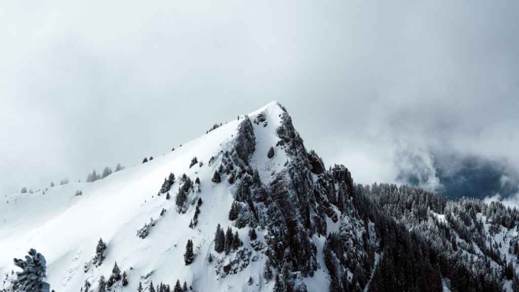 灰色の空を背景に、雪に覆われた山頂。