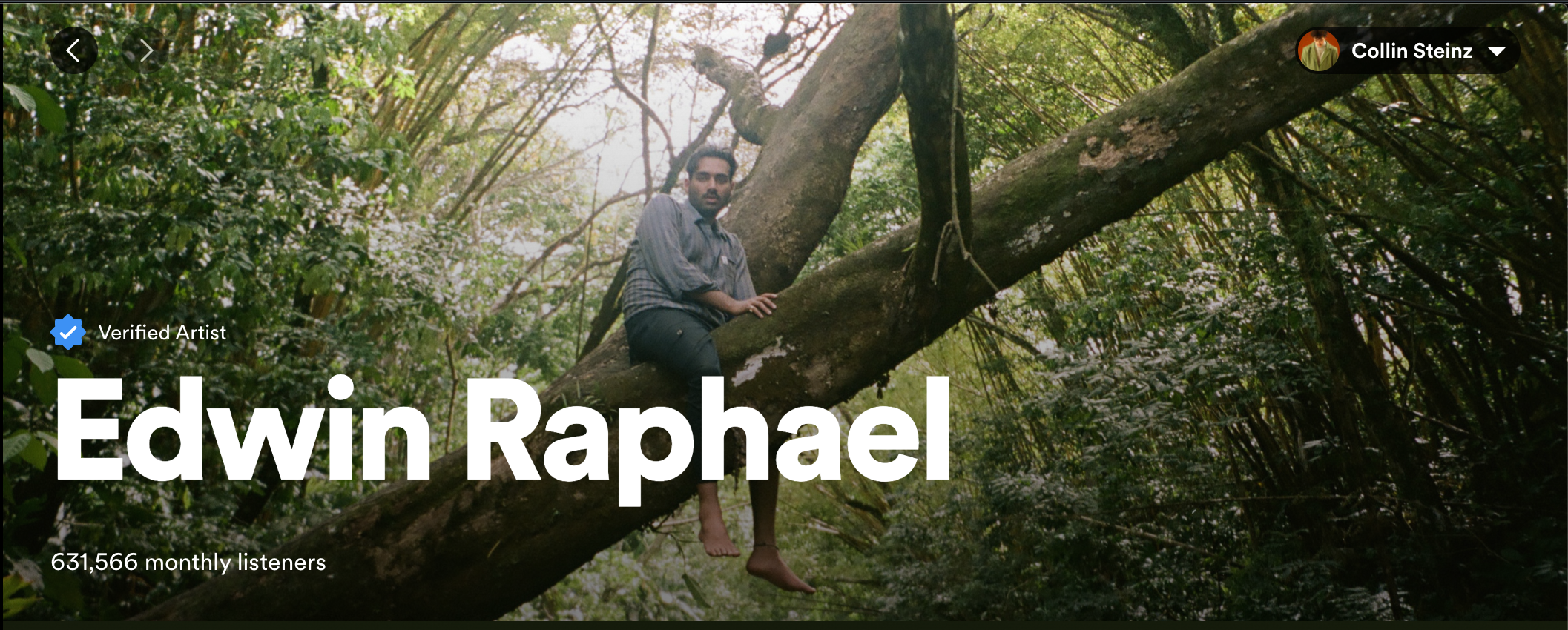 Captura de tela do perfil do artista Spotify para Edwin Raphael