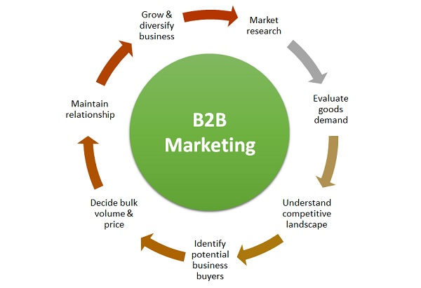 An infographic highlighting the stages of B2B marketing including market research, identifying buyers, and maintaining the business relationship.