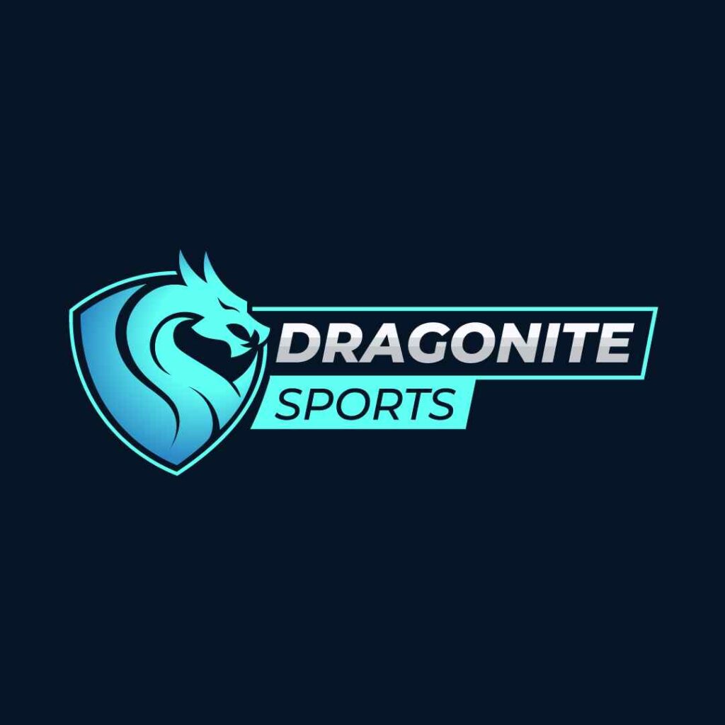 exemplu de logo dragon