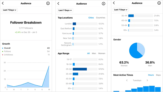 Instagram Insights