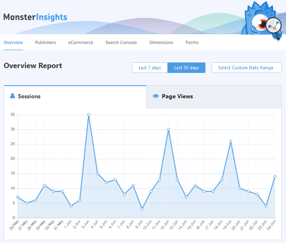 MonsterInsights overview report