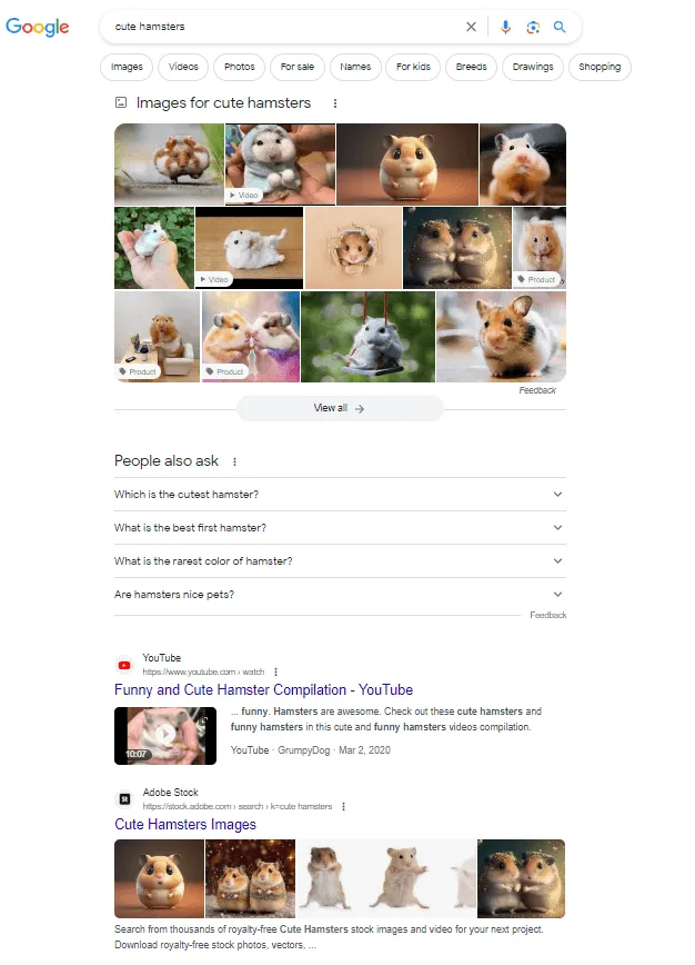 Rezultatele căutării Google pentru interogarea „hamsteri drăguți”.