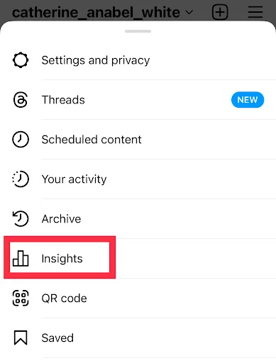 Captura de tela do Instagram do Insights