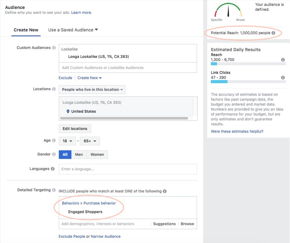 Il pubblico si sovrappone a Gestione inserzioni