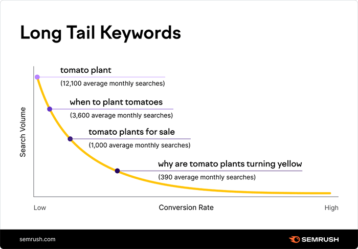 Grafico SEMRush che mostra il volume di ricerca e il tasso di conversione per la parola chiave a coda lunga "pianta di pomodoro".