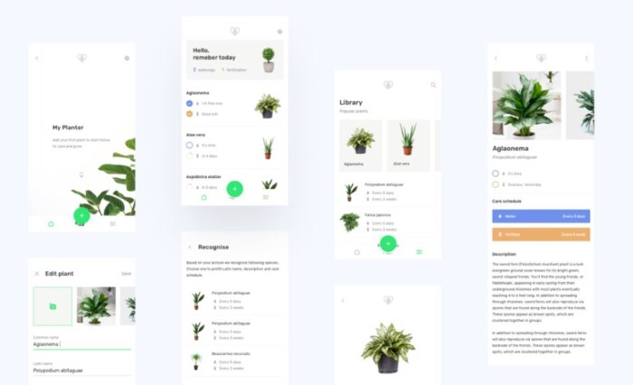 Planter : application utile de soin des plantes créée avec Flutter