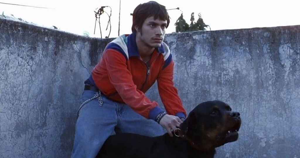 Octavio de Amores perros reteniendo a un gran perro negro