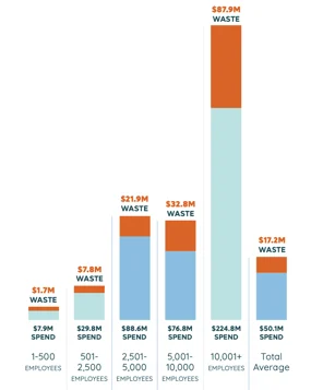 Percentuale di software e strumenti non utilizzati