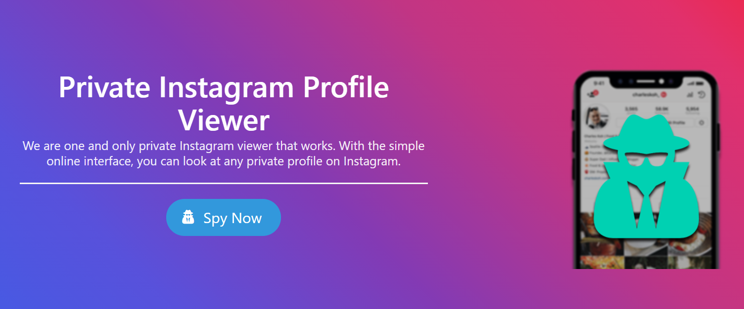 visor de perfil privado de instagram