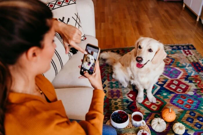 Una donna scatta una foto del suo cane per postarla su Instagram